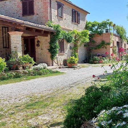 Casale San Martino Agriturismo Bio Sant'Angelo in Pontano 外观 照片
