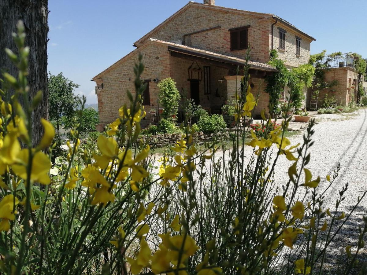 Casale San Martino Agriturismo Bio Sant'Angelo in Pontano 外观 照片