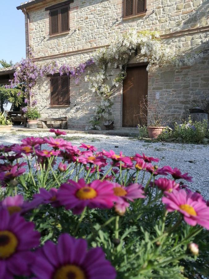 Casale San Martino Agriturismo Bio Sant'Angelo in Pontano 外观 照片