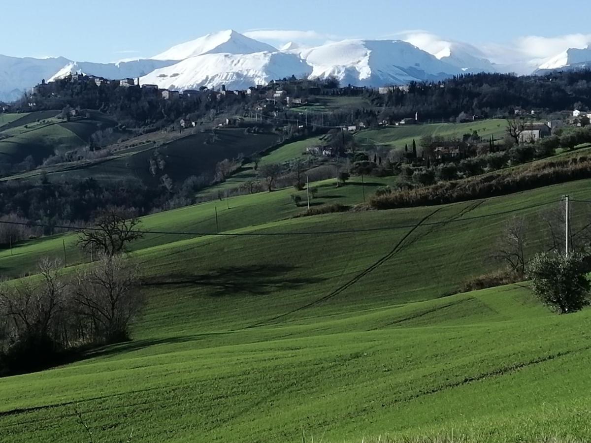 Casale San Martino Agriturismo Bio Sant'Angelo in Pontano 外观 照片