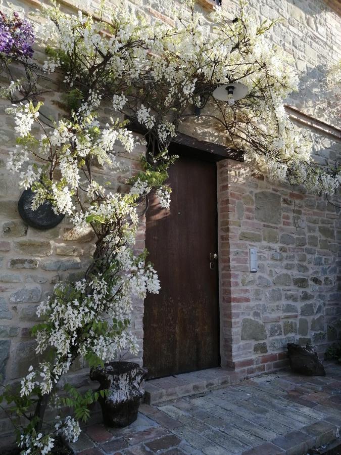 Casale San Martino Agriturismo Bio Sant'Angelo in Pontano 外观 照片