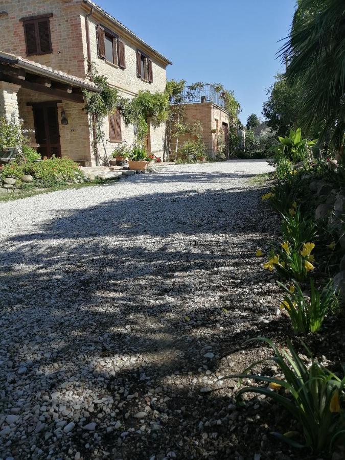 Casale San Martino Agriturismo Bio Sant'Angelo in Pontano 外观 照片