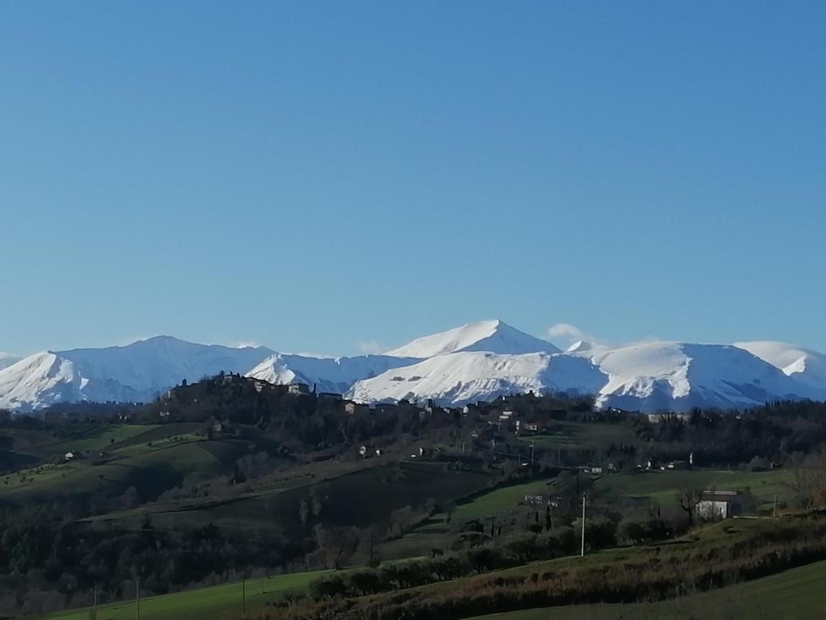 Casale San Martino Agriturismo Bio Sant'Angelo in Pontano 外观 照片