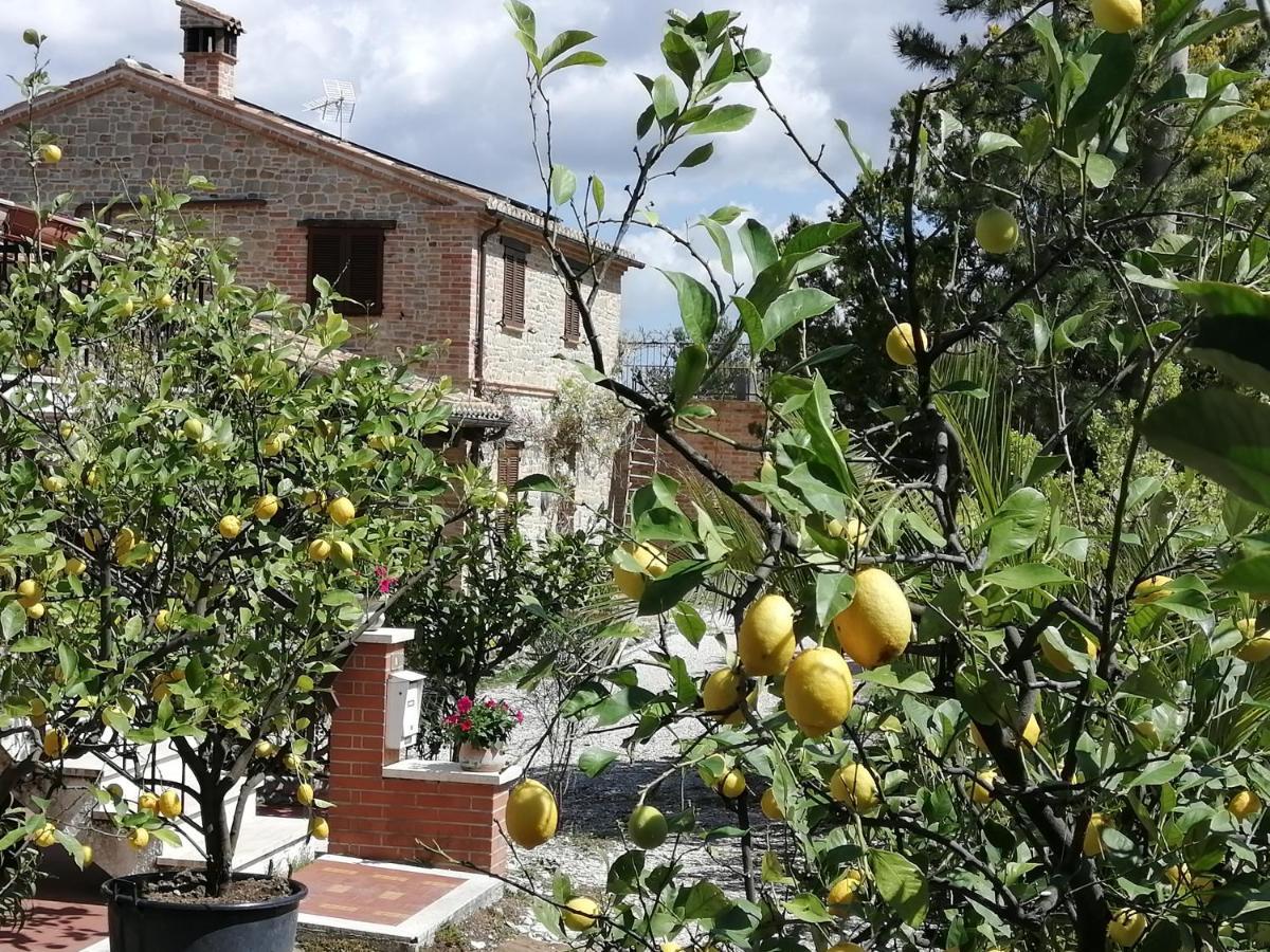 Casale San Martino Agriturismo Bio Sant'Angelo in Pontano 外观 照片