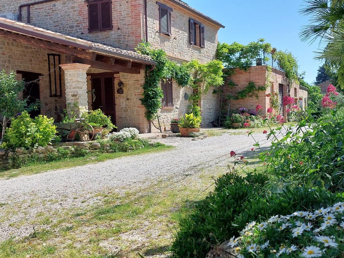 Casale San Martino Agriturismo Bio Sant'Angelo in Pontano 外观 照片