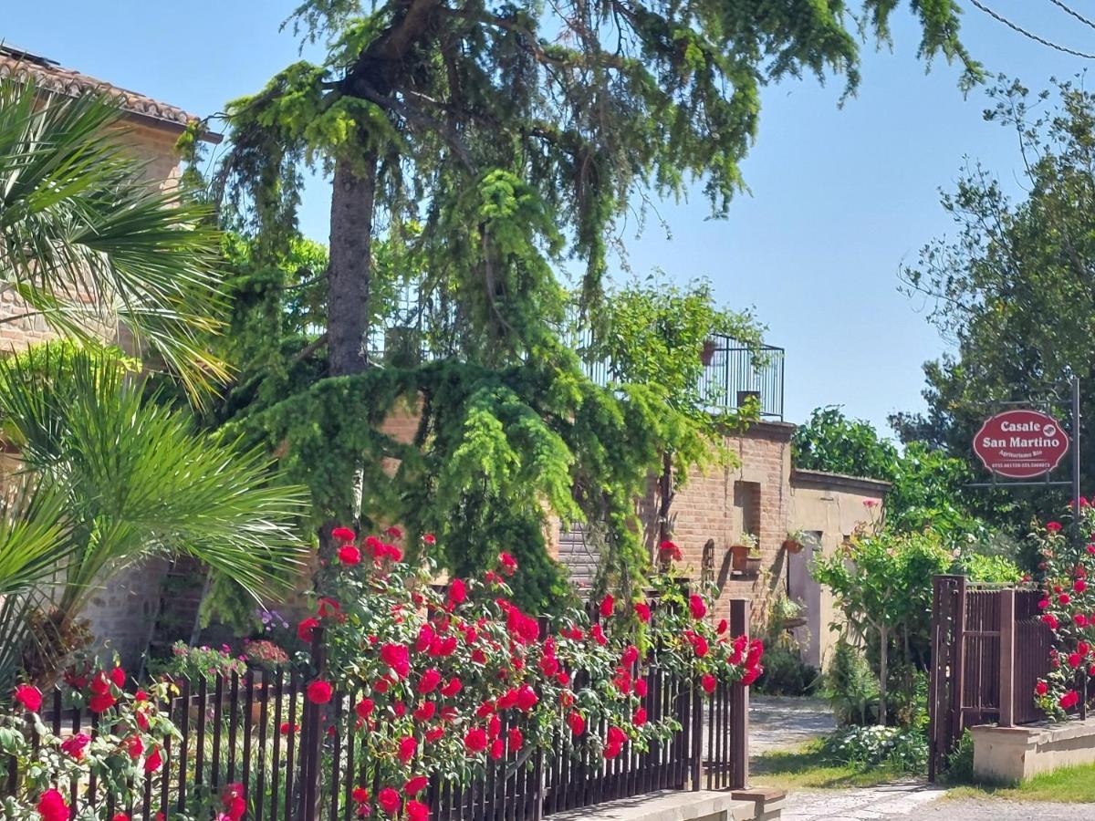 Casale San Martino Agriturismo Bio Sant'Angelo in Pontano 外观 照片