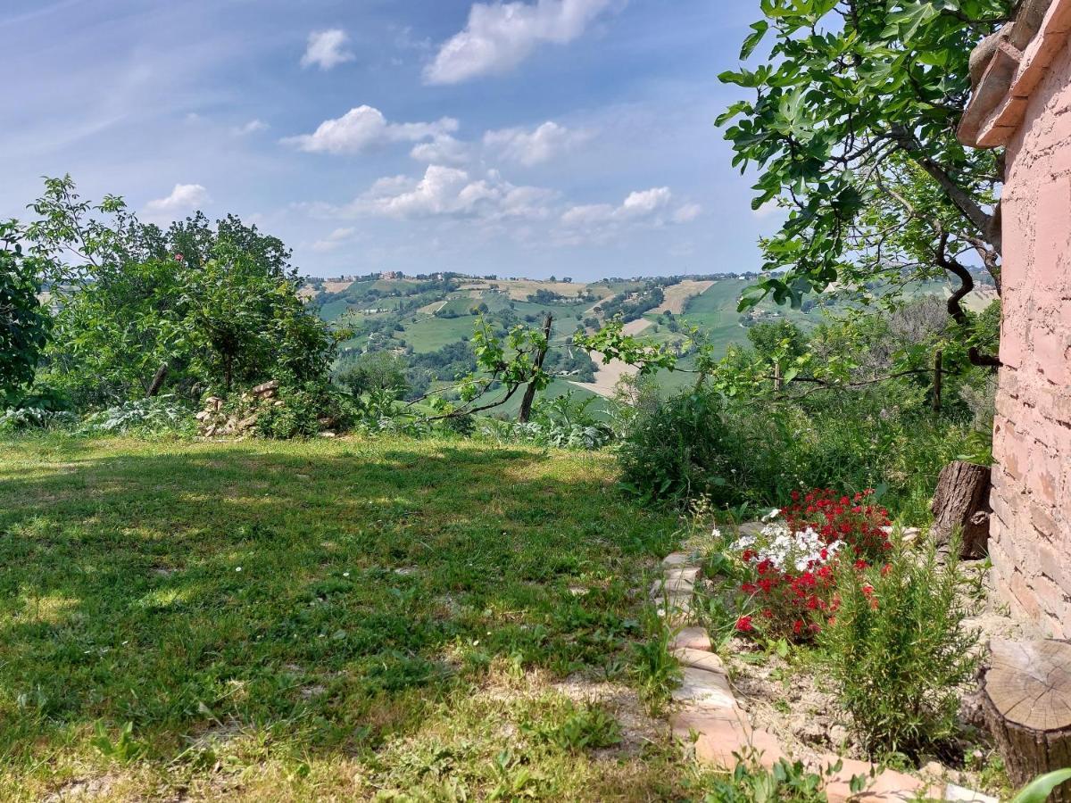Casale San Martino Agriturismo Bio Sant'Angelo in Pontano 外观 照片