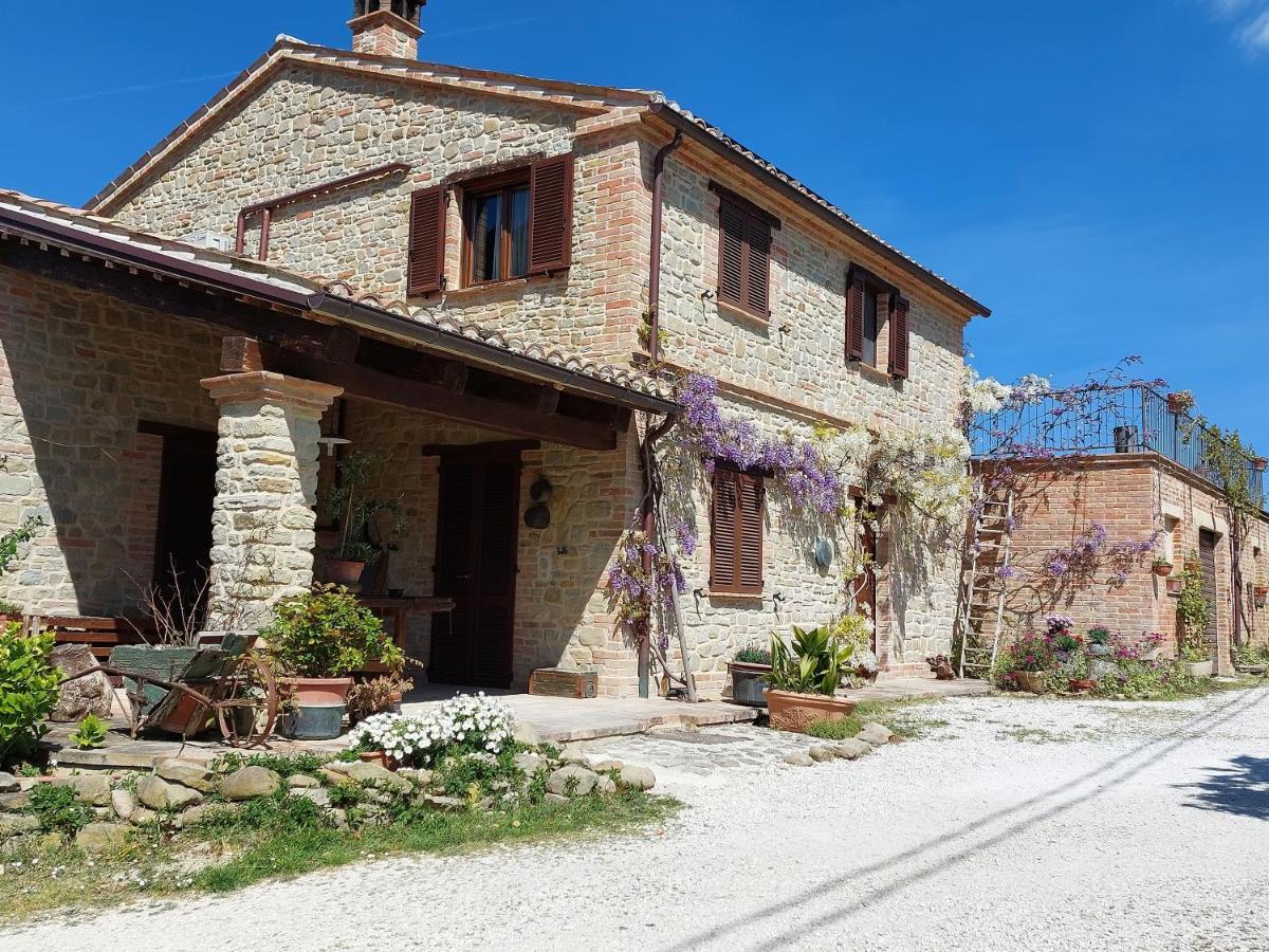 Casale San Martino Agriturismo Bio Sant'Angelo in Pontano 外观 照片
