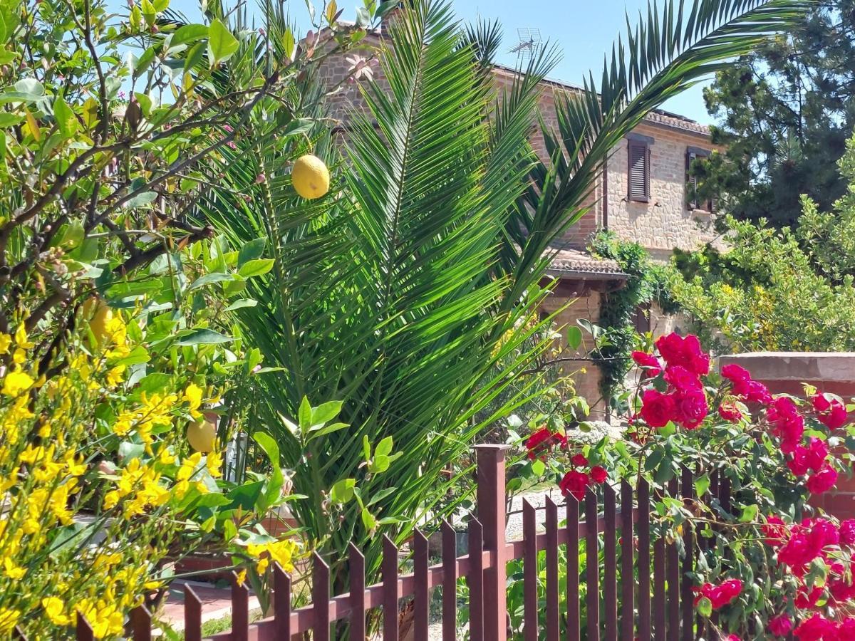 Casale San Martino Agriturismo Bio Sant'Angelo in Pontano 外观 照片