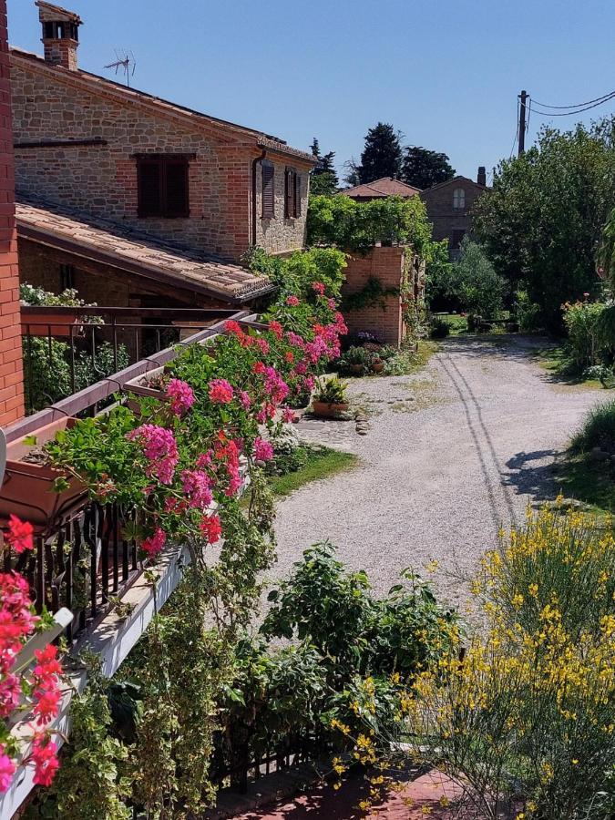 Casale San Martino Agriturismo Bio Sant'Angelo in Pontano 外观 照片