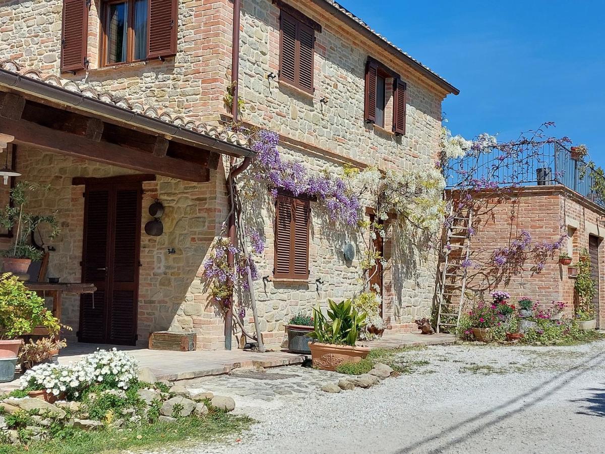 Casale San Martino Agriturismo Bio Sant'Angelo in Pontano 外观 照片