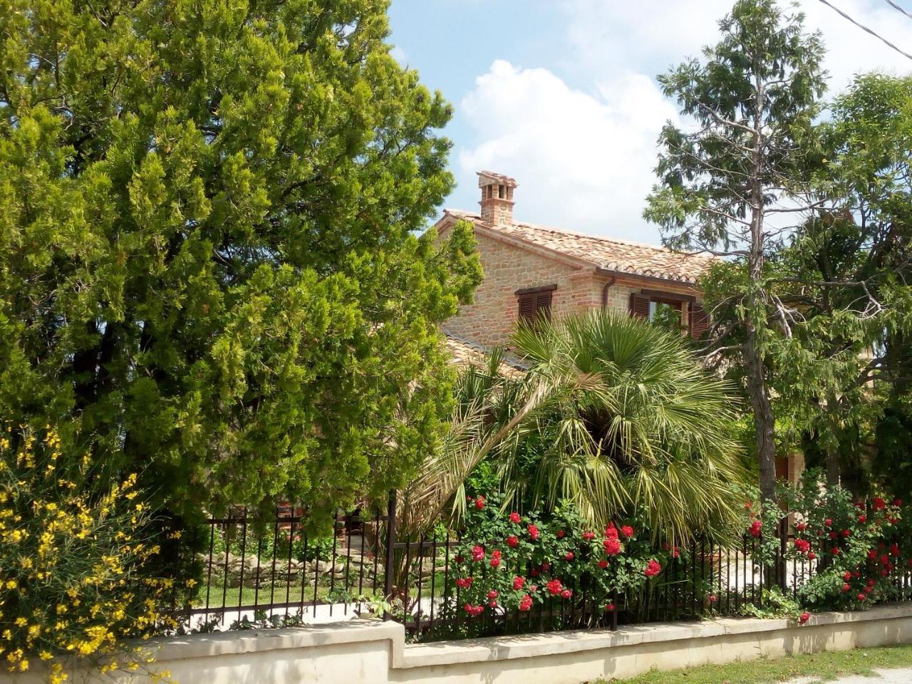 Casale San Martino Agriturismo Bio Sant'Angelo in Pontano 外观 照片